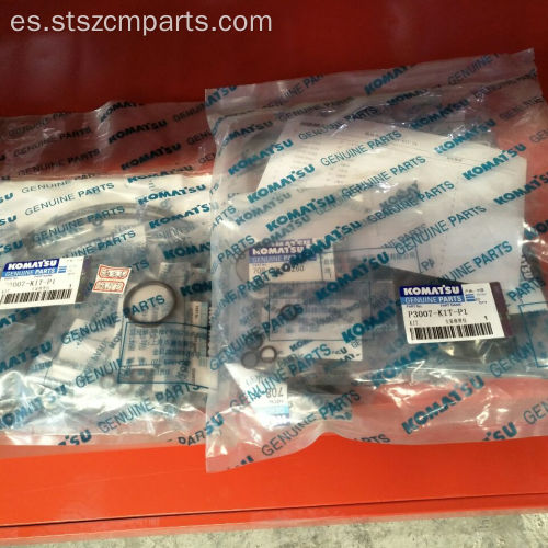 KIT DE SERVICIO DE CILINDRO KOMATSU WA500-1 707-99-74010